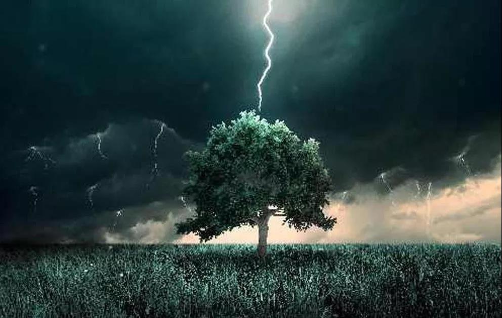 年轻女记者崴脚12天后离世！她忽视的问题你可能每天都在犯