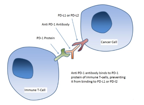 K药为何被称为抗癌神药？