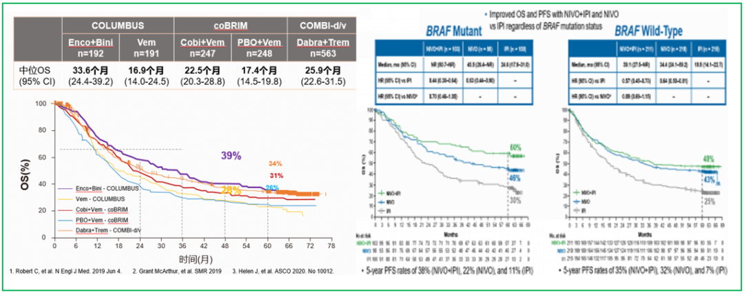 斯璐教授  双免和双靶 哪个先上场？