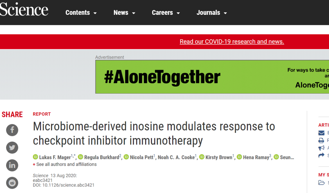 Science再添实锤！这三类肠道菌群可将免疫治疗的效果提高4倍