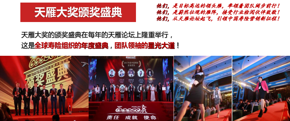 第五届天雁论坛内容剧透（十二） 共赴寿险组织发展最高荣誉盛典