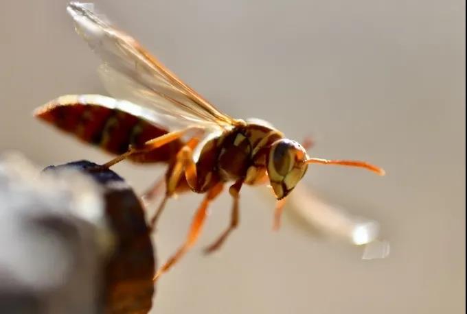 一家公司70多人团建，23人进医院！出游千万要多留心！