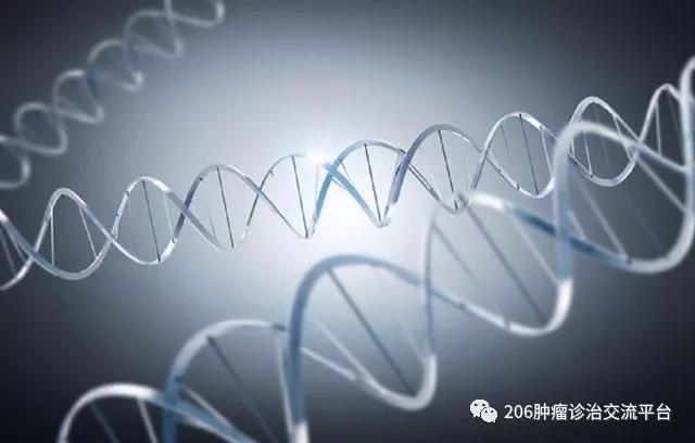 什么是肺癌的靶向治疗，靶向药物吃了真的能活很久？