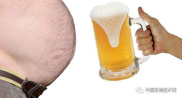 即使每天半杯酒  也可能增加肥胖风险