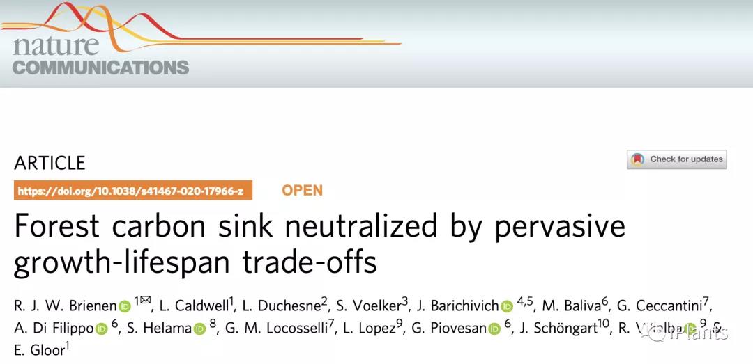 打破认知！研究表明植物长的越快，死的越快......