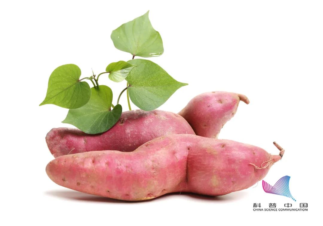 20%的癌症都是由细菌、病毒引起的！这5种尤其要当心，千万别忽视