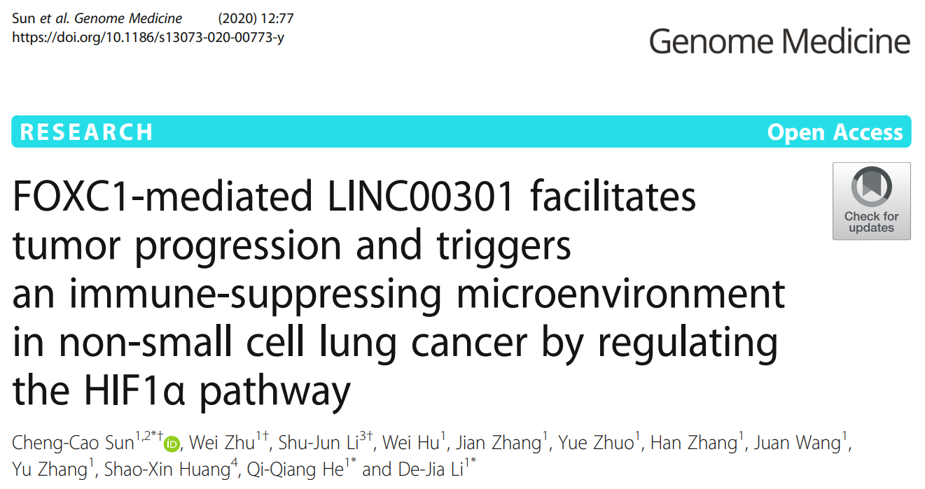 武汉大学揭示LINC00301在非小细胞肺癌进展和肿瘤免疫中的重要作用