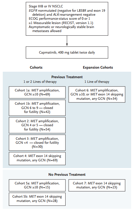 后起之秀MET靶向疗法用于初治MET 14跳变患者 ORR达68%！