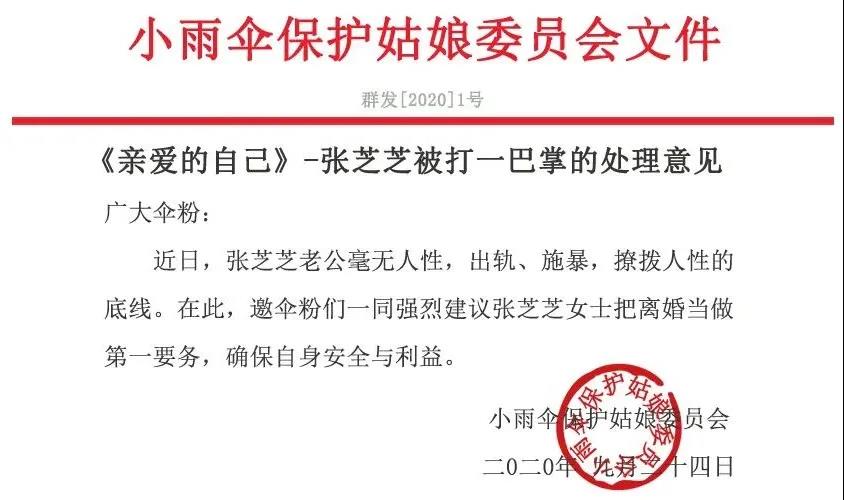 张芝芝被打一巴掌处理意见. pdf