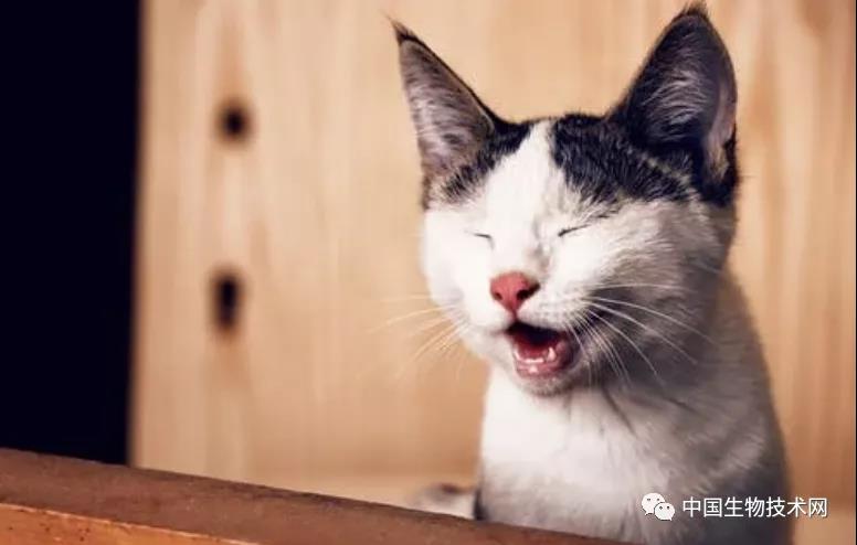 颠倒“黑白”的代价：控制大脑废物清理的是昼夜节律，而非睡眠！