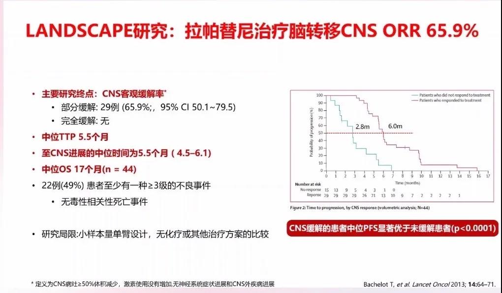 HER2阳性晚期乳腺癌脑转移，如何优化治疗？
