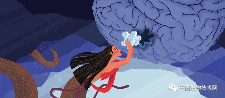 “补”脑：科学家新发现为帕金森阿尔兹海默病治疗提供新思路