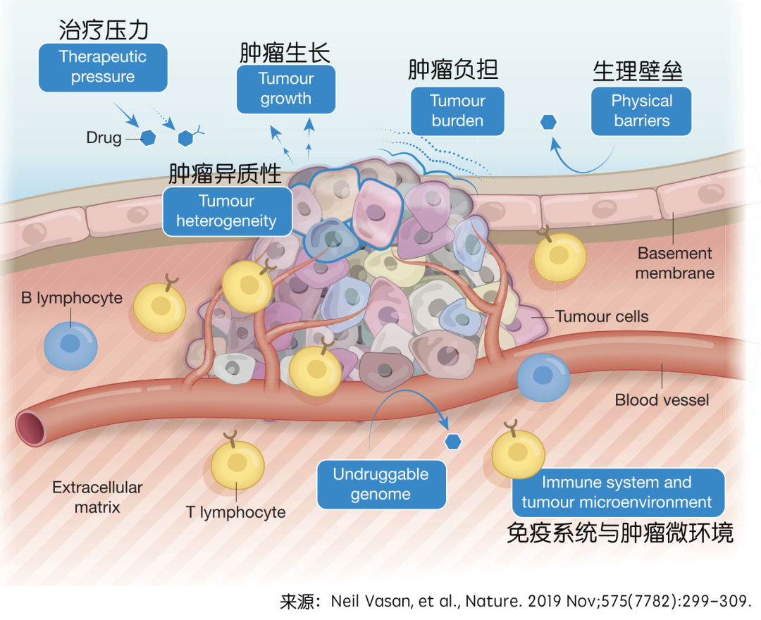 肿瘤耐药：『尝试治愈癌症』还是『管理癌症耐药』？