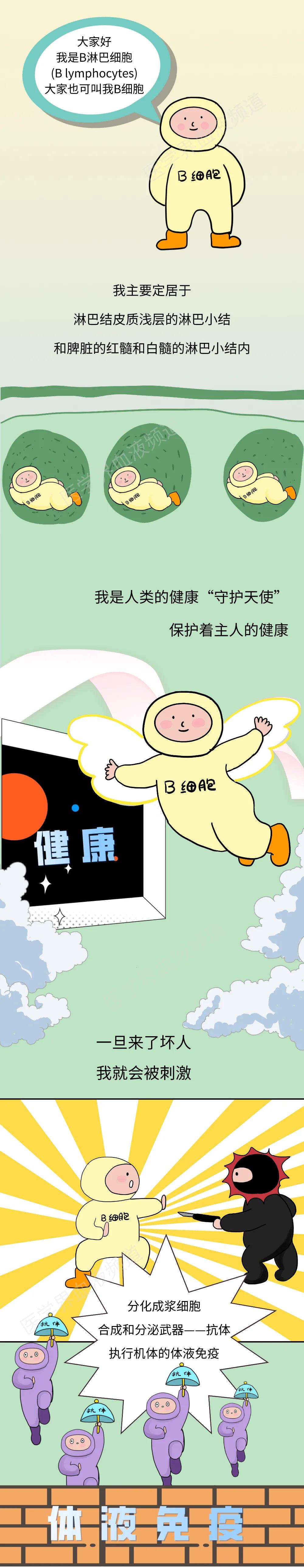 嗨淋巴宝宝，原来你是这样叛变成淋巴瘤的！