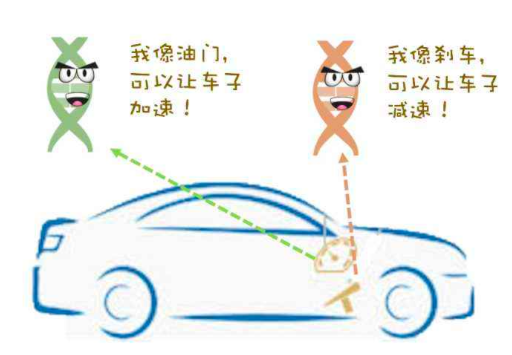 家人得了肿瘤  会遗传吗?