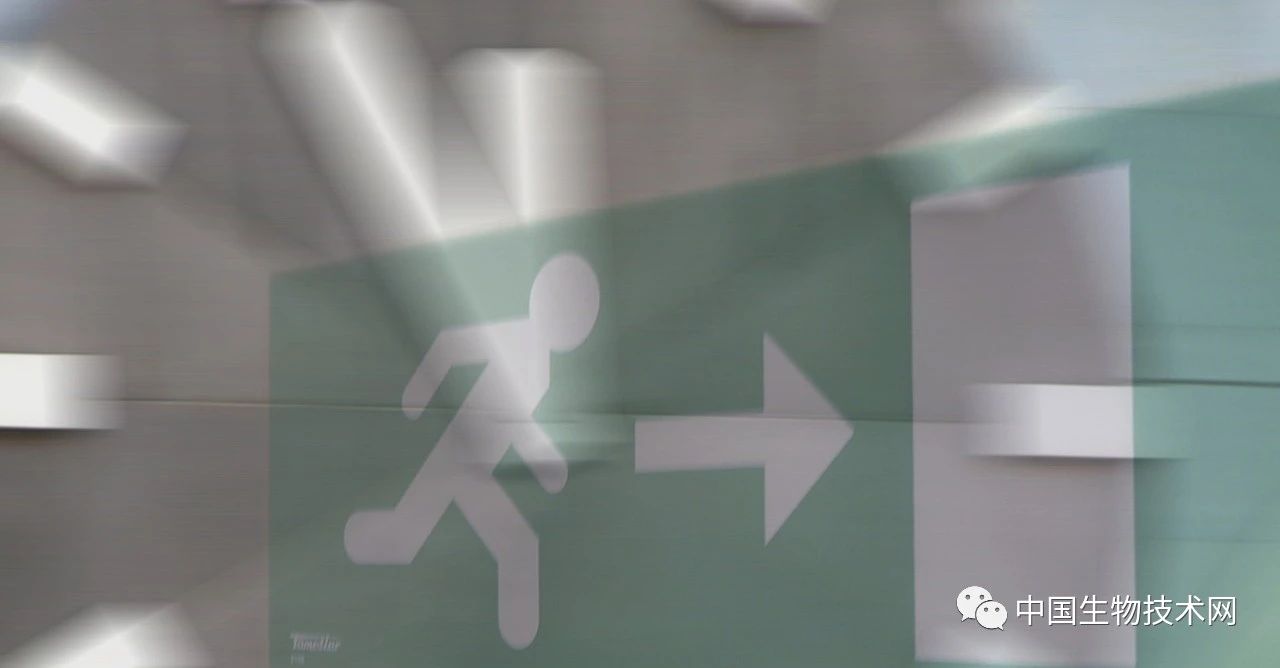 生物钟|女性起得早，男性爱熬夜？