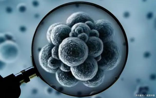 癌症复发的风险因素有哪些？降低复发，我们该怎么做？