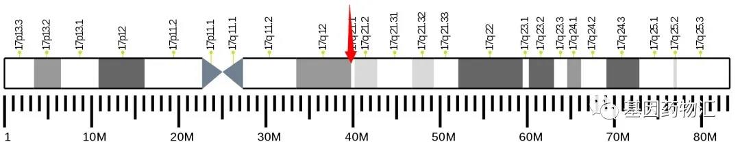 乳腺癌最全靶点攻略来了！这几类具有治疗潜力的靶点，哪一个能成为患者的新希望？