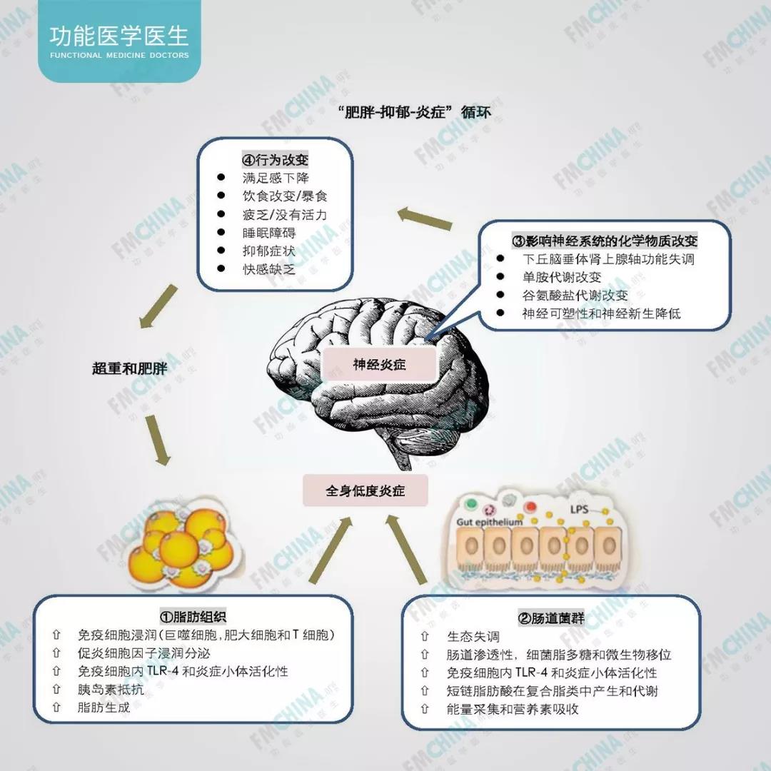 抑郁症的抗炎症治疗