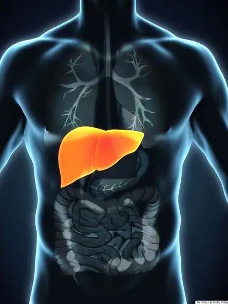 慢性肝病伴发趋化因子异变与结直肠癌肝转移的研究进展