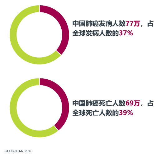 免疫联合再革新! 替雷利珠单抗+化疗, 肺癌一线治疗有效率生存期双双提升