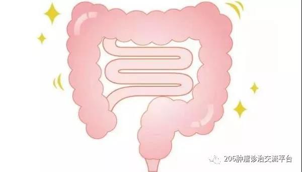 仅占胃肠道恶性肿瘤的1%-2% 发现多是晚期的小肠癌你了解多少？