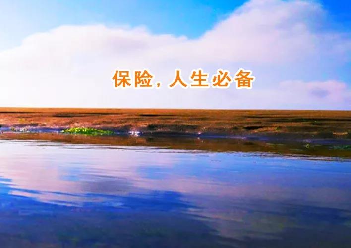 精算师告诉你：为什么保障型险种要交20年而不是交5年？