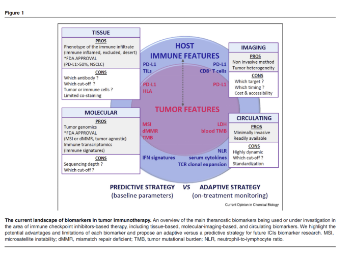 肿瘤免疫治疗标志物的进展与思考