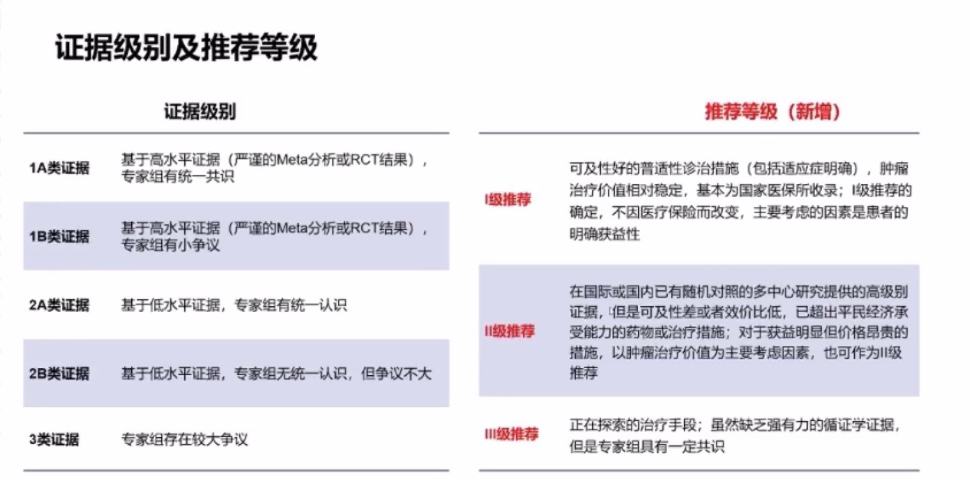 储天晴教授  晚期 NSCLC 抗血管生成药物的治疗   推荐意见更新 