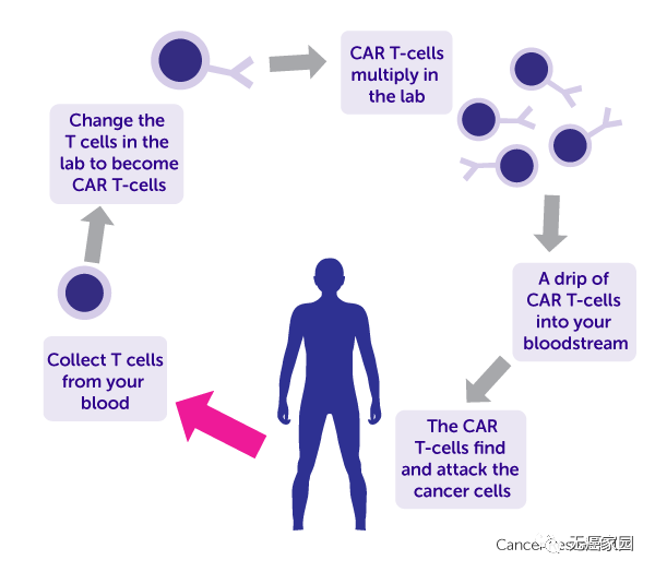 93%的完全缓解患者未复发 CAR-T疗法再添一员猛将征伐血液肿瘤