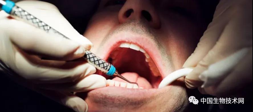 牙疼真的是病！因为它会引起炎症风暴 导致一系列可怕的健康后果