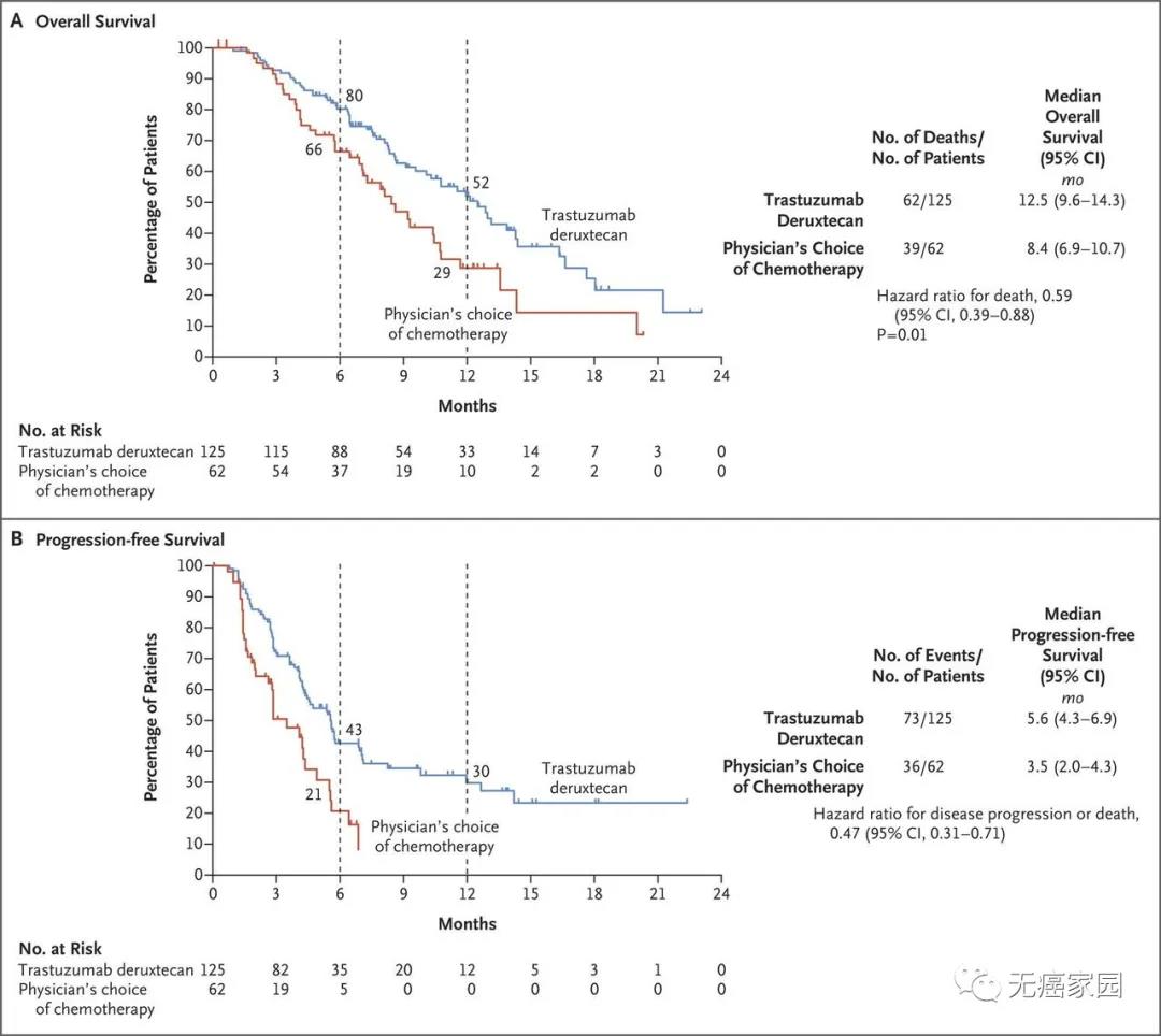 死亡风险降低41%！靶向4大癌种胃癌ADC新药DS-8201获优先审查资格