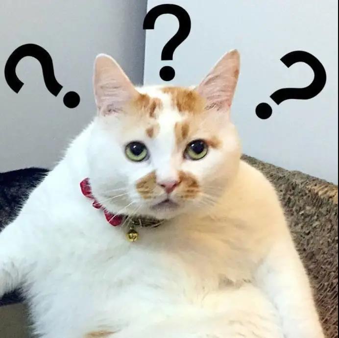 ​第一批90后已经因为看牙破产？齿科保险火了