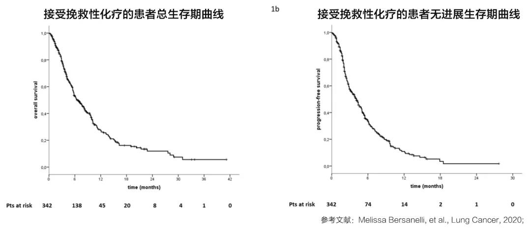 失去了PD-1 别再失去挽救性化疗