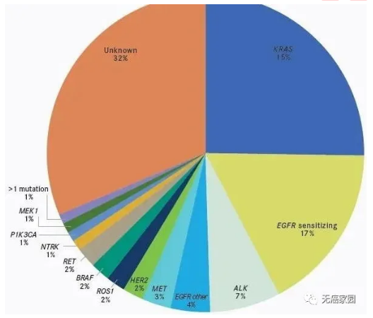 肺癌靶向治疗又出5款猛药  全面覆盖4大靶点 国药崛起指日可待！