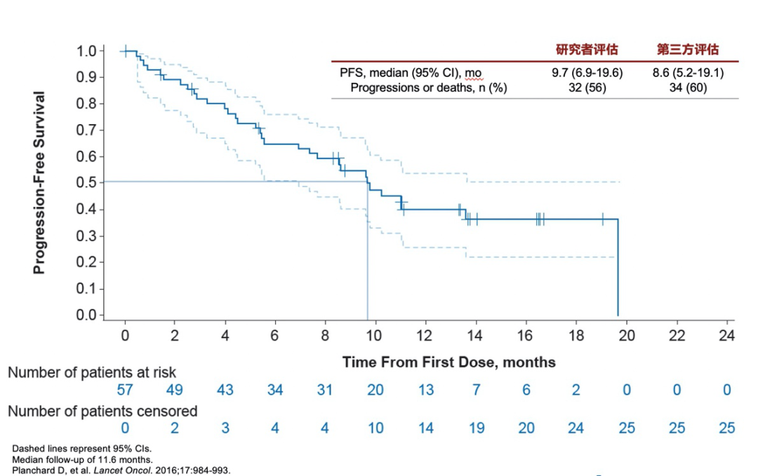 张力教授 BRAF V600E突变在肺癌治疗中的研究进展