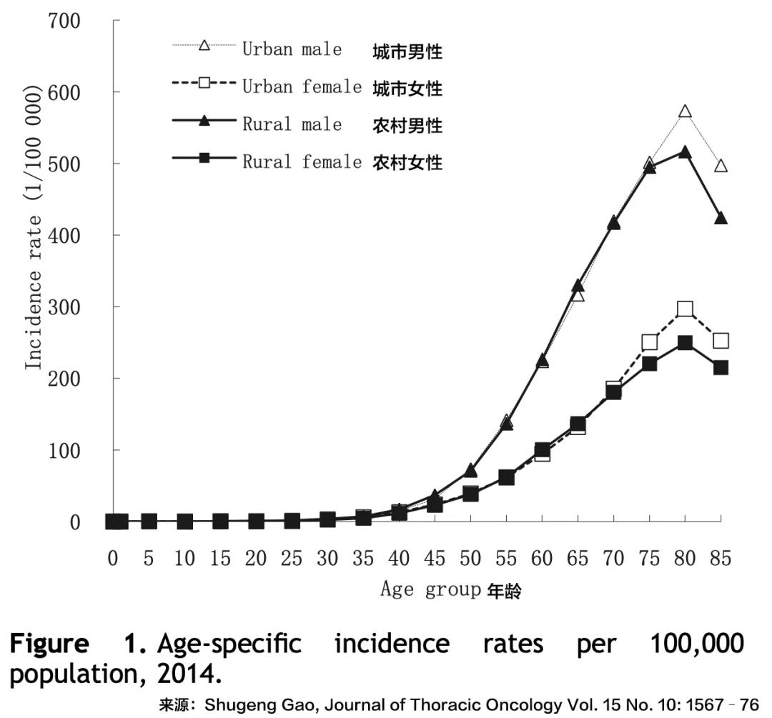 我国肺癌的发病与死亡现状，及筛查、诊断、治疗