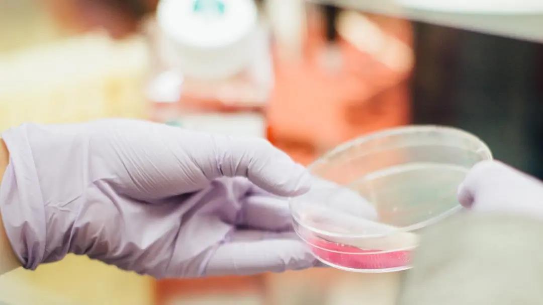 这些年，常用的癌症检测方式有哪些？