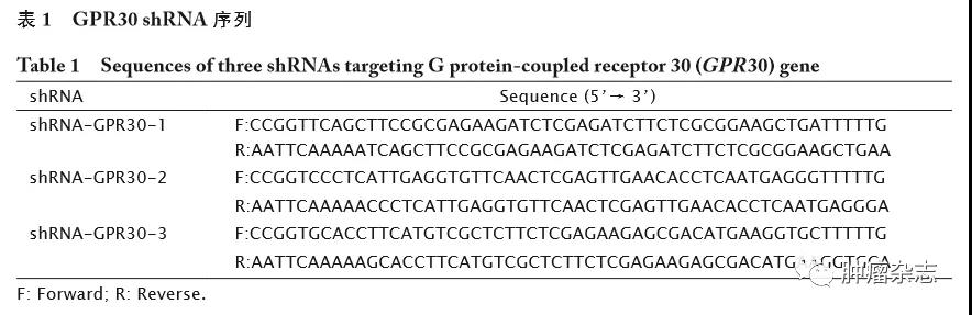 G蛋白偶联受体30对子宫内膜癌细胞增殖及凋亡的影响及其机制探讨