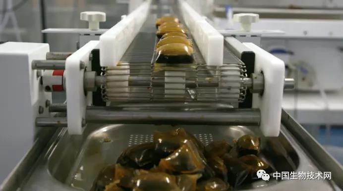 如何拯救全球塑料污染危机 吃掉它