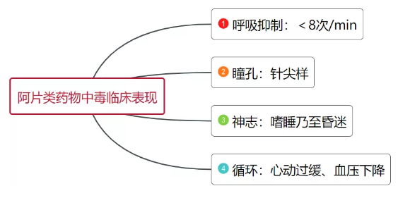 主任提问  阿片类药物中毒有何典型表现？纳洛酮如何解救？