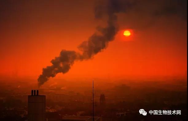 超大规模研究！PM2.5对帕金森、阿尔兹海默症的长期影响