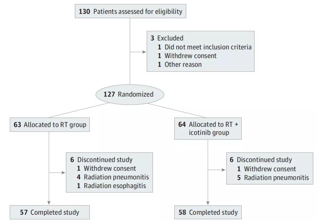 埃克替尼联合放疗可改善老年食管癌患者的预后