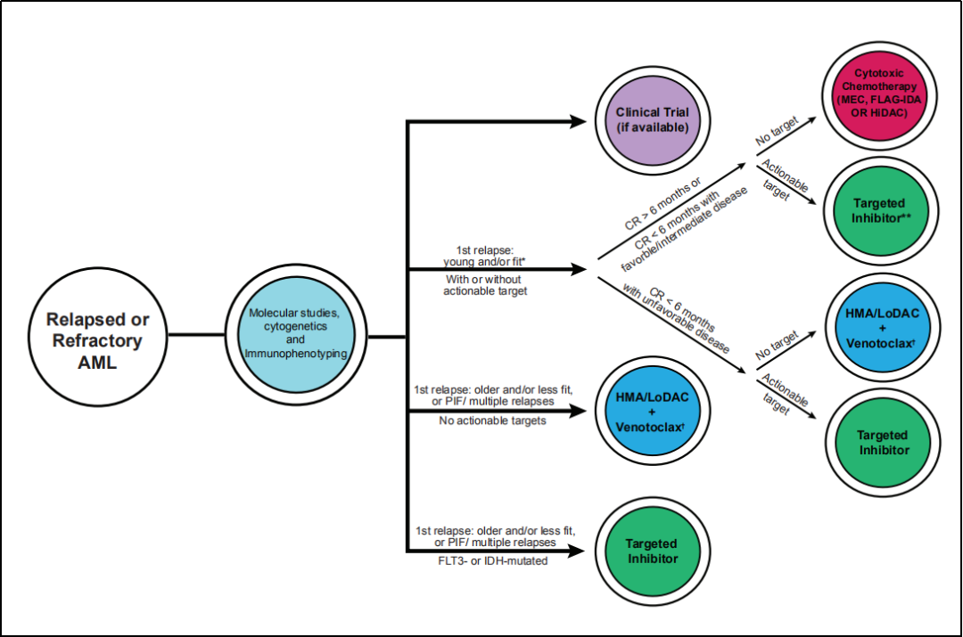 国际大咖带你了解复发或难治性AML的治疗策略