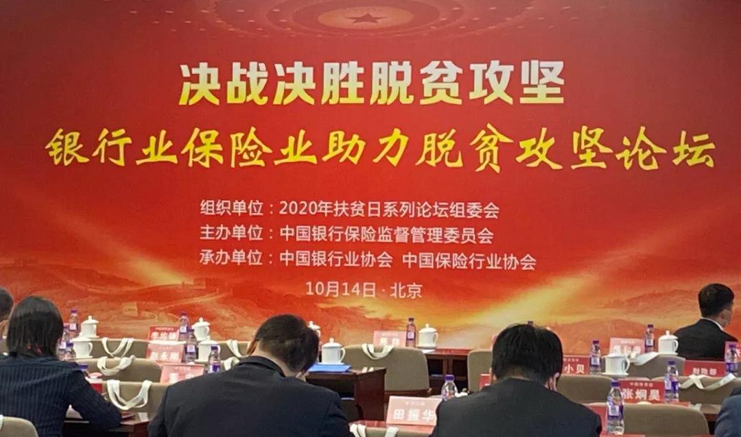 大童黄花菜精准扶贫项目入选“全国保险业助力脱贫攻坚创新实践典型案例”