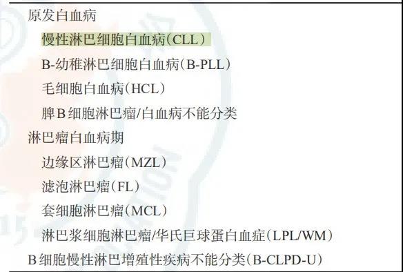 CLL到底怎么治？
