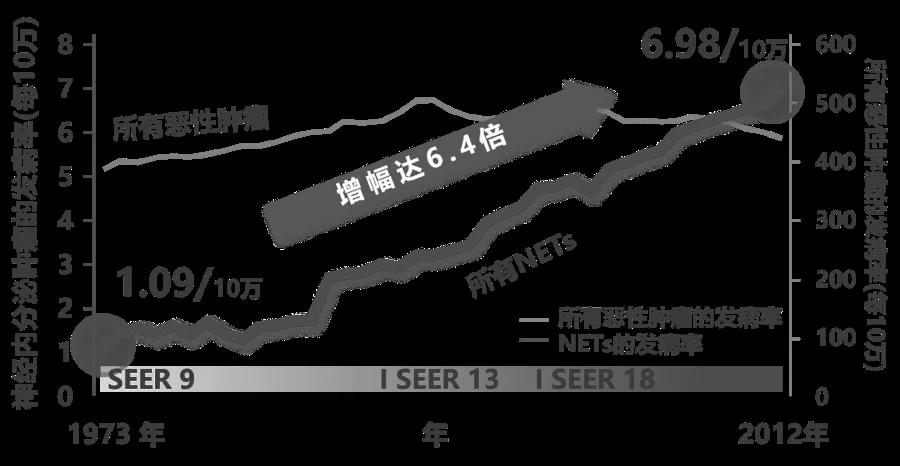 无影灯外的光华  胰腺神经内分泌瘤药物治疗进展