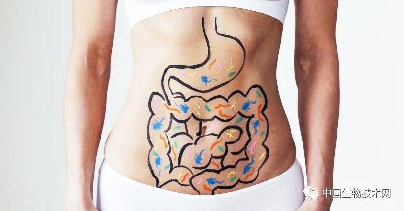 抑郁症与肠道疾病之间的关系