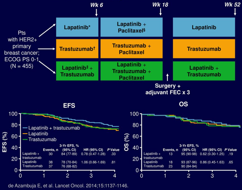 失之东隅，收之桑榆：CALGB 40601研究双靶新辅助治疗的生存结局