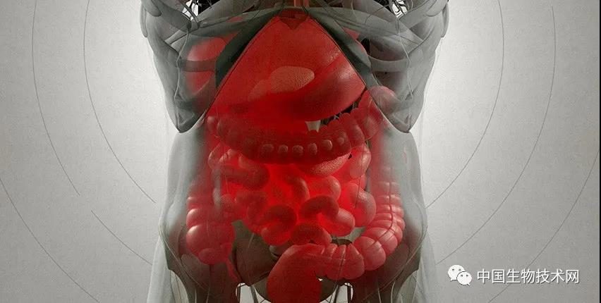 机制不明，肠道菌群...哈佛耶鲁科学家《Cell》揭开其抗病毒机制的面纱